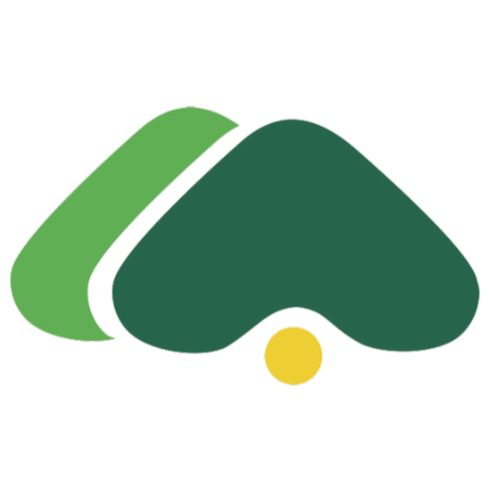 quiz-page-d98.pages.dev favicon